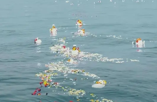 清明节可以海撒吗？